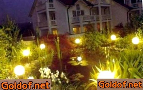 декоративный, водоем