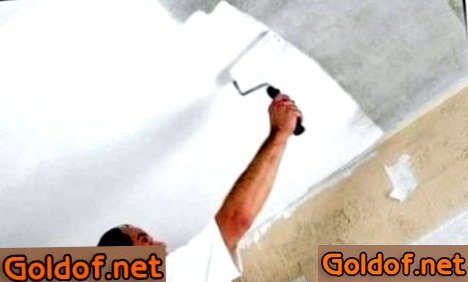 Побелка потолка водоэмульсионкой