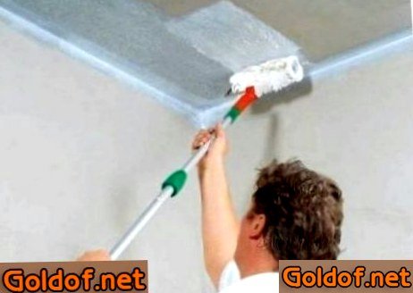 Нанесение грунтовки на потолок перед побелкой