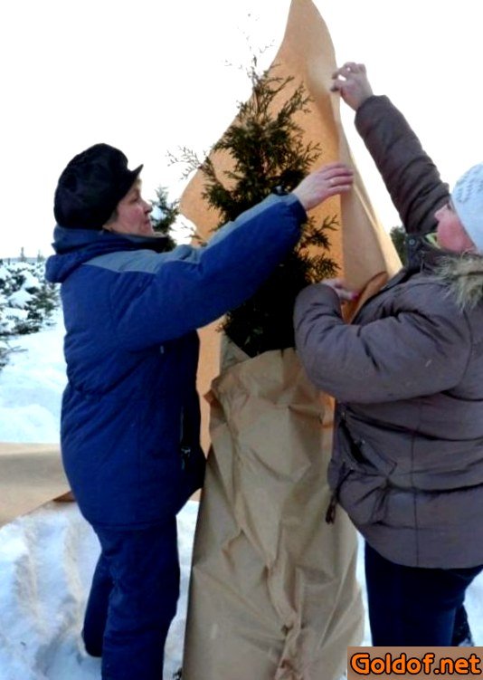 модульные, напольные модульные, напольные