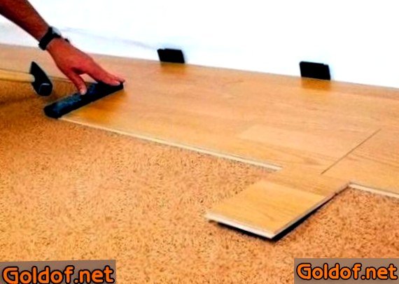 пола, особенности, выбора