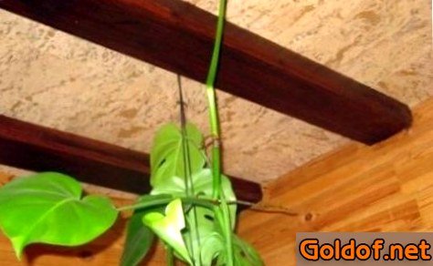 Утепление потолка пробкой