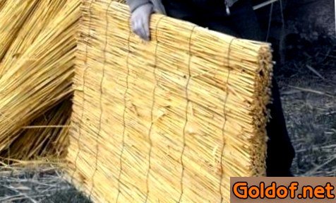 Утепление потолка камышом