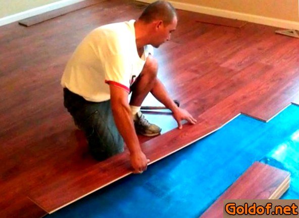 стелим, ламинат