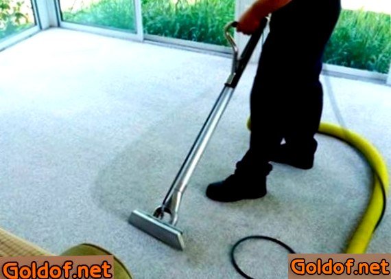 чистка, ковролина, дома