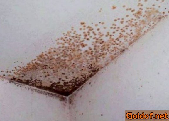 удалить, плесень, потолка