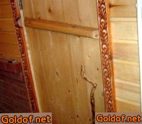 двери, парилку