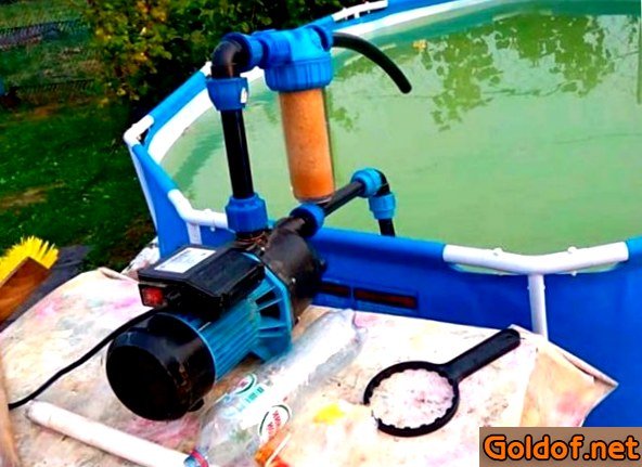 очистка, бассейна очистка, бассейна