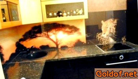 Стеклянные стеновые панели