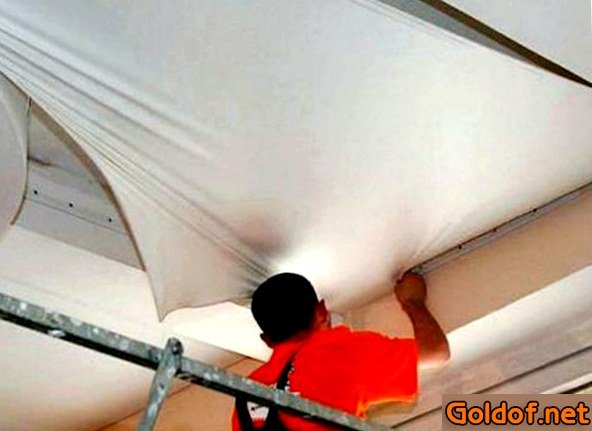 полотно, потолка