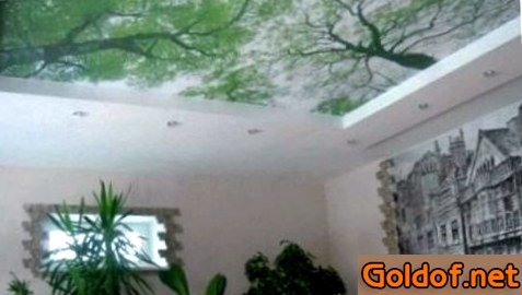 Тканевый натяжной потолок 8