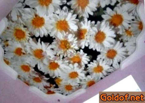 Тканевый натяжной потолок 9