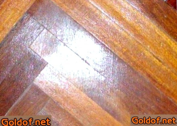 яхтный, пола