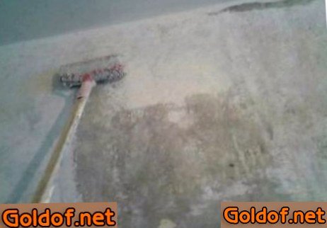 Грунтовка стен