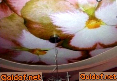 Французский натяжной потолок 1