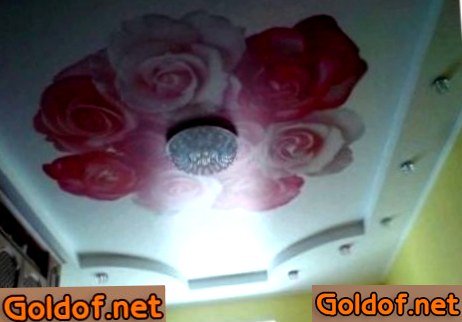 Французский натяжной потолок 3