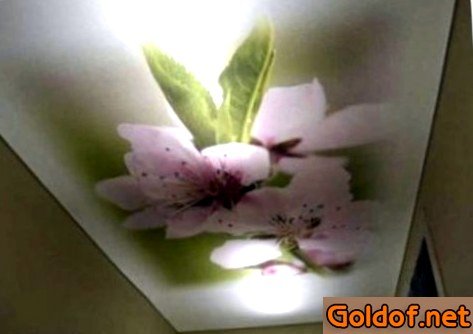 Полупрозрачные бесшовные натяжные потолки Clipso