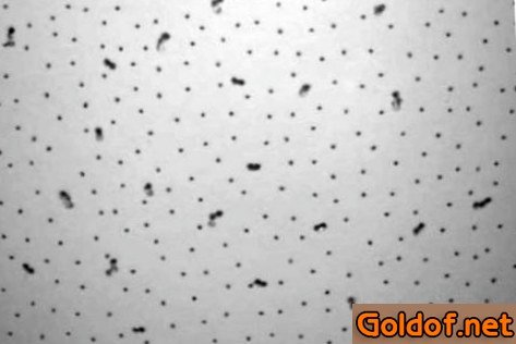 Потолочная панель Decorative