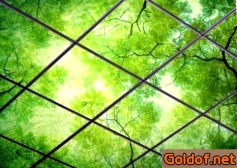 Стеклянные потолочные панели с фотопечатью