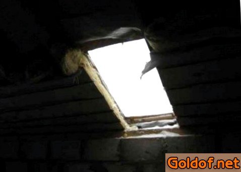 Подготовка