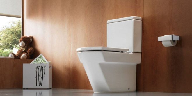 Унитаз – как выбрать